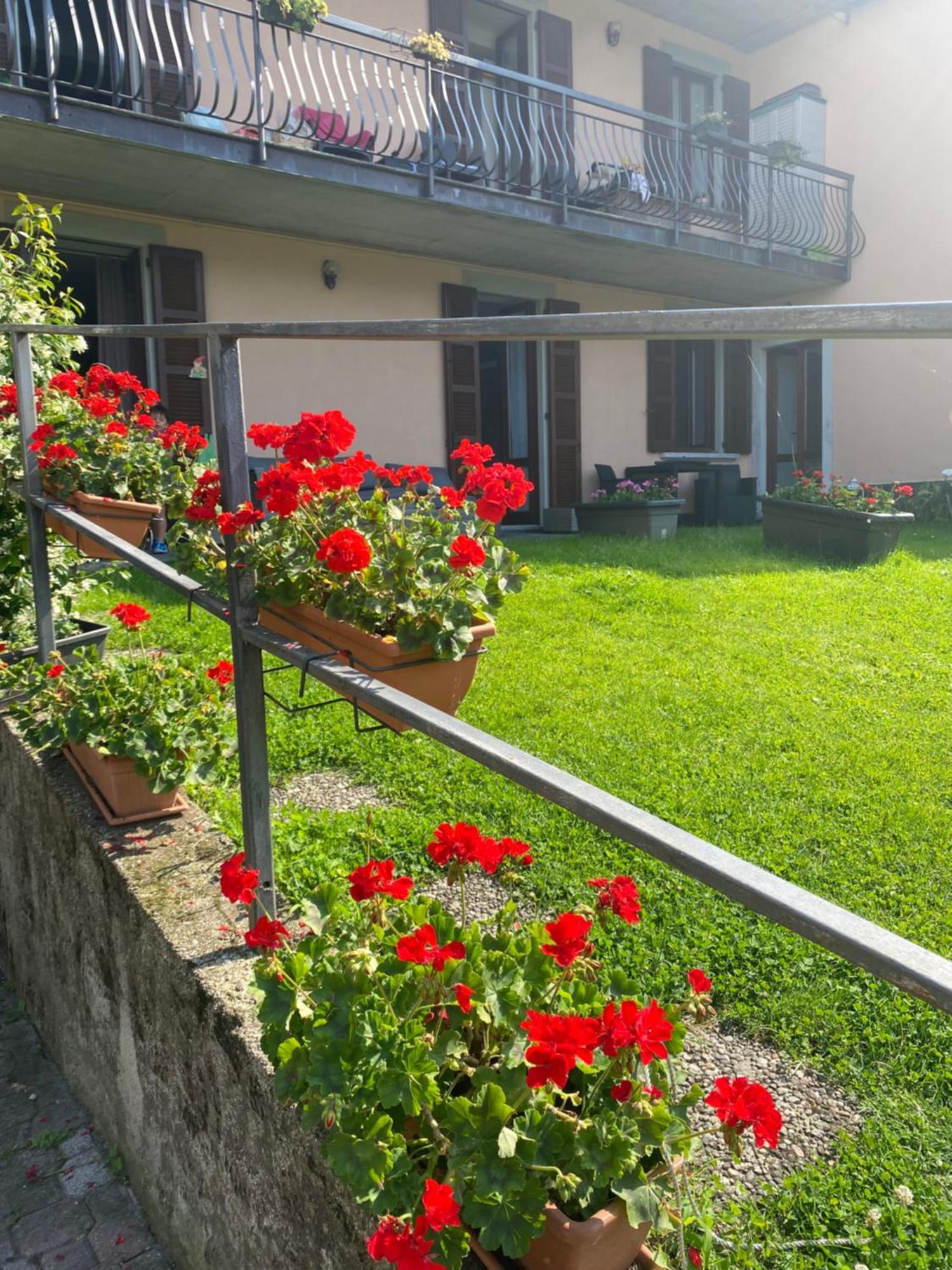 Peonia Apartment - Appartamento Vista Lago Лезено Экстерьер фото
