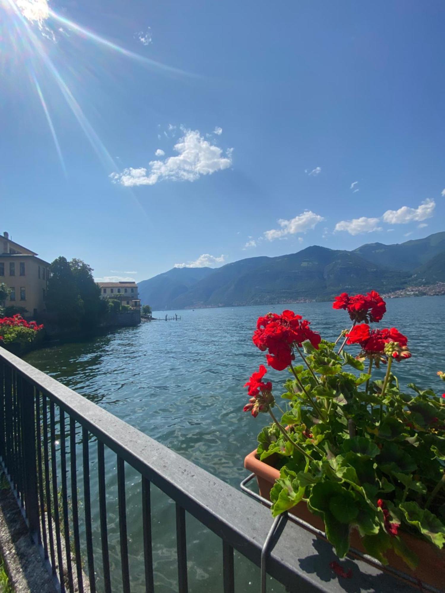 Peonia Apartment - Appartamento Vista Lago Лезено Экстерьер фото
